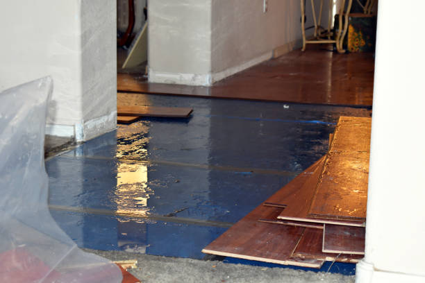 Professional Basement Flood Cleanup technician working in Spring Branch, TX